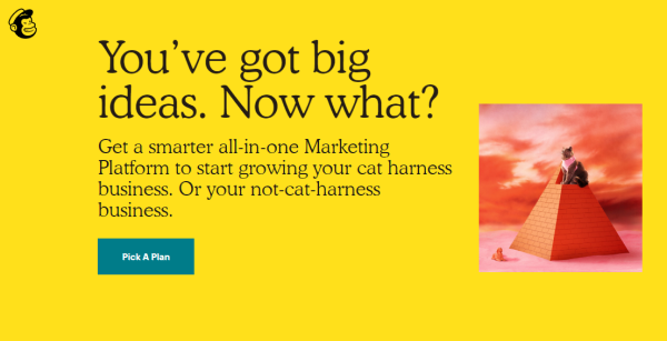 MailChimp MailChimp